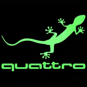 Audi Quattro Door Lights
